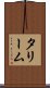 タリーム Scroll