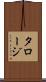 タロージ Scroll