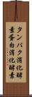 タンパク消化酵素 Scroll