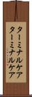 ターミナルケア Scroll