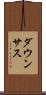 ダウンサス Scroll