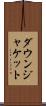 ダウン・ジャケット Scroll