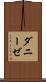 ダニーゼ Scroll