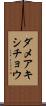 ダメアキシチョウ Scroll