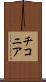 チコニア Scroll