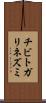 チビトガリネズミ Scroll