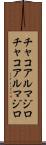 チャコアルマジロ Scroll