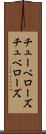 チューベローズ Scroll