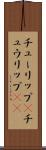 チューリップ(P) Scroll