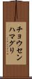 チョウセンハマグリ Scroll