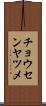 チョウセンヤツメ Scroll