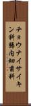 チョウナイサイキン科 Scroll