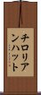 チロリアン・ハット Scroll