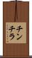 チンチラ Scroll