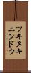 ツキヌキニンドウ Scroll