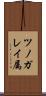 ツノガレイ属 Scroll