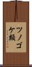 ツノゴケ類 Scroll