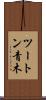 ツートン青木 Scroll