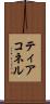 ティアコネル Scroll