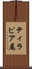 ティラピア属 Scroll