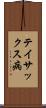 テイサックス病 Scroll
