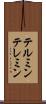 テルミン Scroll