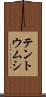 テントウムシ Scroll