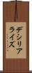 デシリアライズ Scroll