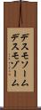 デスモソーム Scroll
