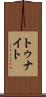 トゥナイト Scroll