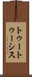 トゥートゥーシス Scroll