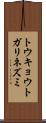 トウキョウトガリネズミ Scroll