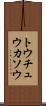 トウチュウカソウ Scroll