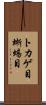 トカゲ目 Scroll