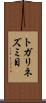 トガリネズミ目 Scroll