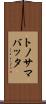 トノサマバッタ Scroll