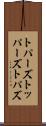 トパーズ Scroll