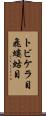 トビケラ目 Scroll
