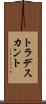 トラデスカント Scroll