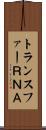 トランスファーＲＮＡ Scroll