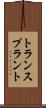 トランスプラント Scroll