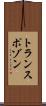 トランスポゾン Scroll