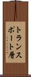 トランスポート層 Scroll