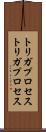 トリガプロセス Scroll