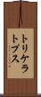 トリケラトプス Scroll