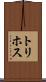 トリホス Scroll