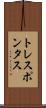 トレスポンタス Scroll