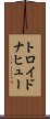 トロイドナヒュー Scroll