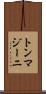 トンマジーニ Scroll