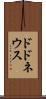 ドドネウス Scroll